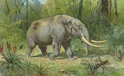 Mastodon