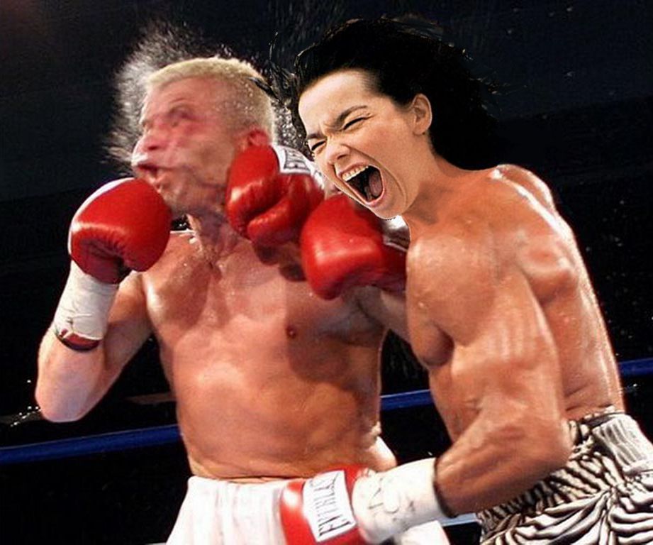 Björk fighting