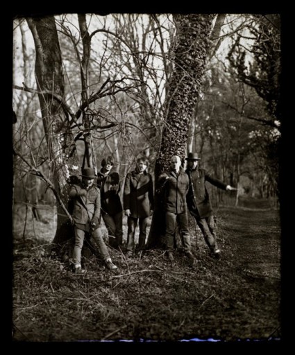 Radiohead Wiltshire Tree